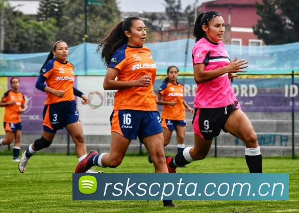 开云官网发展历程